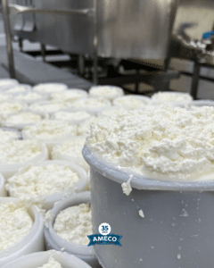 Portada Blog Qué significa que un queso sea natural y por qué deberías huir de los ultraprocesados